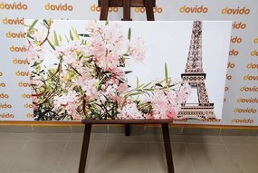 Stampa su tela – Torre Eiffel e fiori rosa