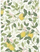 BoråsTapeter Carta da parati Citronträd - 5702