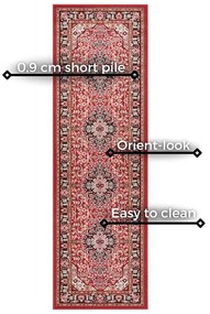 Runner rosso , 80 x 250 cm Skazar Isfahan - Nouristan