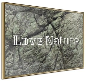 Poster  Nature  Cornice Quadri Cornice d'oro, Larghezza x Altezza Home decor 30x20