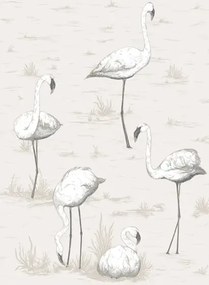 Cole & Son Carta da parati Flamingos - Charcoal