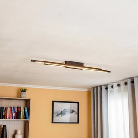 Quitani Talon plafoniera LED a 2 luci anodizzata nera