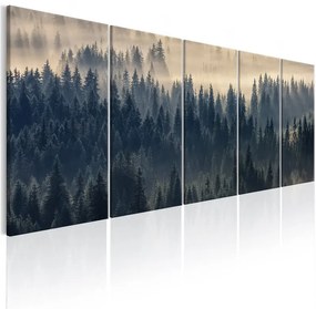 Quadro Fir in the Fog  Colore Beige, Dimensioni e Misure 225x90