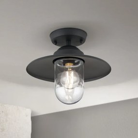 Orion AL 11-1317 - Lampadario da esterno EDWARD 1xE27/60W/230V IP44 nero