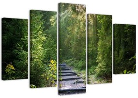 Quadri Quadro 5 pezzi Stampa su tela Foresta Natura Paesaggio verde