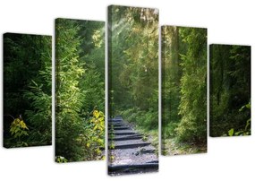 Quadri Quadro 5 pezzi Stampa su tela Foresta Natura Paesaggio verde  Dimensioni Tappeti 100x70