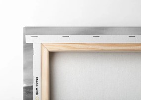 Quadro su tela – Auto in natura pittoresca in bianco e nero