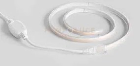 Strip led cob 220v 12w 920lm per mt  4000k ip65 pf>0.5 rotolo da 20mt