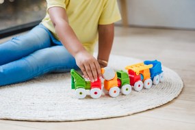 SmartMax - Le mie prime macchinine - 13 pz