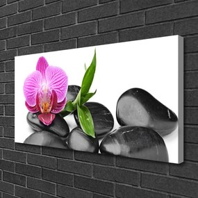 Quadro su tela Pietre di fiori Art 100x50 cm