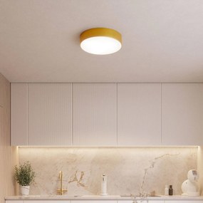 TEMAR LIGHTING Plafoniera Cleo, Ø 20 cm, IP54, colore oro, metallo, E27