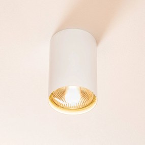 Argon Faretto da soffitto Tubo Ø 12 cm, bianco