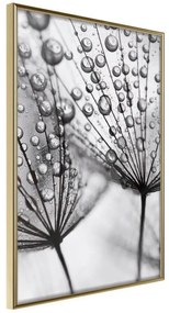 Poster Dew in the Macro Scale  Cornice Quadri Cornice d'oro, Larghezza x Altezza Home decor 20x30