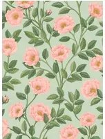 Cole & Son Carta da parati Hampton Roses - 118/7014