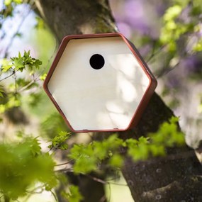 Casetta Per Uccelli Hive 1 19x23x20 Cm Foro Rotondo Marrone /