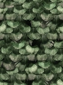 Rebel Walls Carta da parati Petite Peacock Plumage - Jade