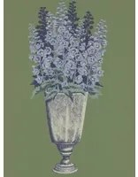 Långelid / von Brömssen Carta da parati Delphinium - Arbour Green