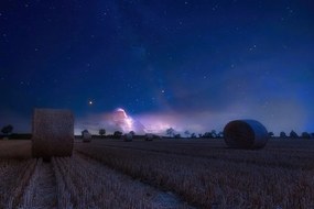 Carta da parati autoadesiva – Fieno al chiaro di luna