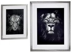 Quadro Lion - Tiger (43 x 3 x 53 cm)