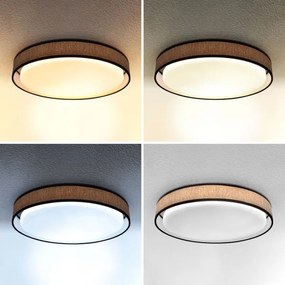 Brilagi - Lampada da soffitto dimmerabile PILAR LED/48W/230V 3000-6500K + DO