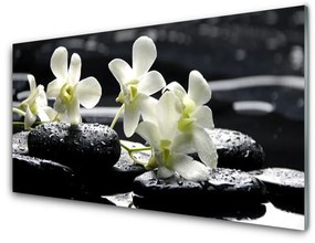 Pannello rivestimento parete cucina Pianta di pietre di orchidea 100x50 cm
