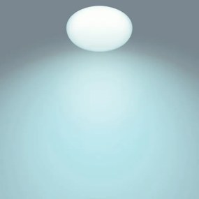 Philips - Plafoniera LED dimmerabile TOBA 1xLED/23W/230V + T