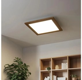 Eglo - LED RGB Pannello fisso dimmerabile SALOBRENA-C LED/24W/230V marrone + +TC