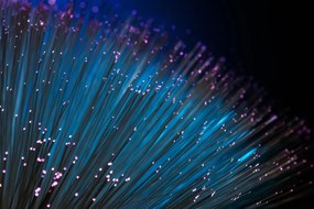 Quadro su tela – Fibra ottica