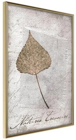 Poster  Dried Leaf  Cornice Quadri Cornice d'oro, Larghezza x Altezza Home decor 20x30