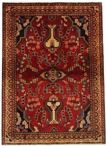 Hamedan Tappeto persiano 160x110 (Iran)
