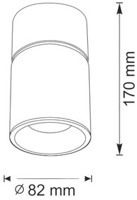 Faretto NIXA 1xGU10/10W/230V nero