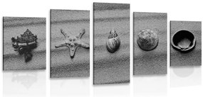 Quadri 5 pezzi – Conchiglie sulla spiaggia sabbiosa in bianco e nero
