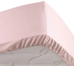 Douceur d intérieur  Lenzuolo con angoli PERCALINE  Douceur d intérieur