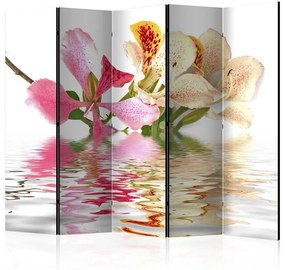 Paravento Tropical flowers orchid tree (bauhinia) II [Room Dividers]