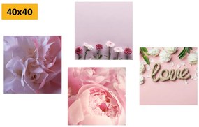Set di quadri – Fiori in delicata tonalità rosa