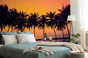 Carta da parati – Tramonto sulle palme