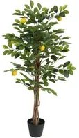 Albero Limoni Artificiale con 3 Tronchi Verde 120 cm in PP 4010677