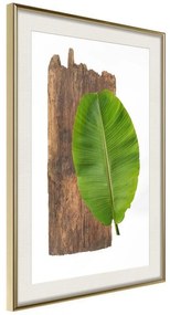 Poster  Forest Nature  Cornice Quadri Cornice d'oro con passe-partout, Larghezza x Altezza Home decor 20x30