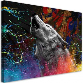 Quadro su tela, Wolf Animal Nature  Dimensioni 100x70