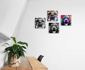 Set di quadri – Cani in stile pop art