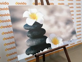 Quadro su tela – Pietre armoniche e fiore di plumeria