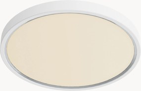 Plafoniera a LED con luce regolabile Noxy