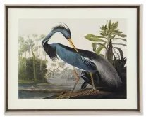 Quadro DKD Home Decor Uccello Orientale (88 x 3,5 x 70 cm)