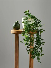 Sinsay - Pianta ornamentale artificiale - verde