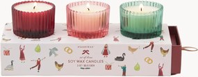 Set di 3 candele profumate Christmas (Winter Berry, Pink Peppermint & Balsam Fir)