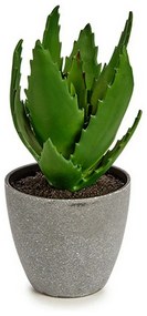 Pianta Decorativa Aloe Vera 14 x 21 x 14 cm Grigio Verde Plastica (6 Unità)
