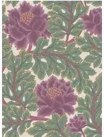 Tapete Aurora von Cole & Son - Mulberry & Sage on Parchment