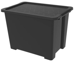 Scatola di plastica con coperchio Evo Easy - Rotho