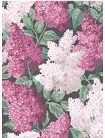 Cole & Son Carta da parati Lilac - Pinks