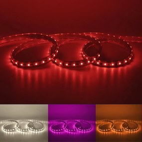 Kit striscia led 10m luce rgb multicolore INSPIRE